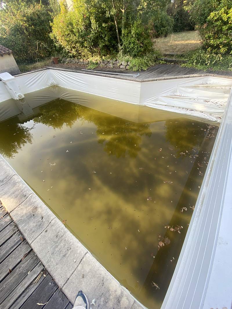 Piscine à l'eau verte et liner usé avant rénovation à Merville, juin 2026