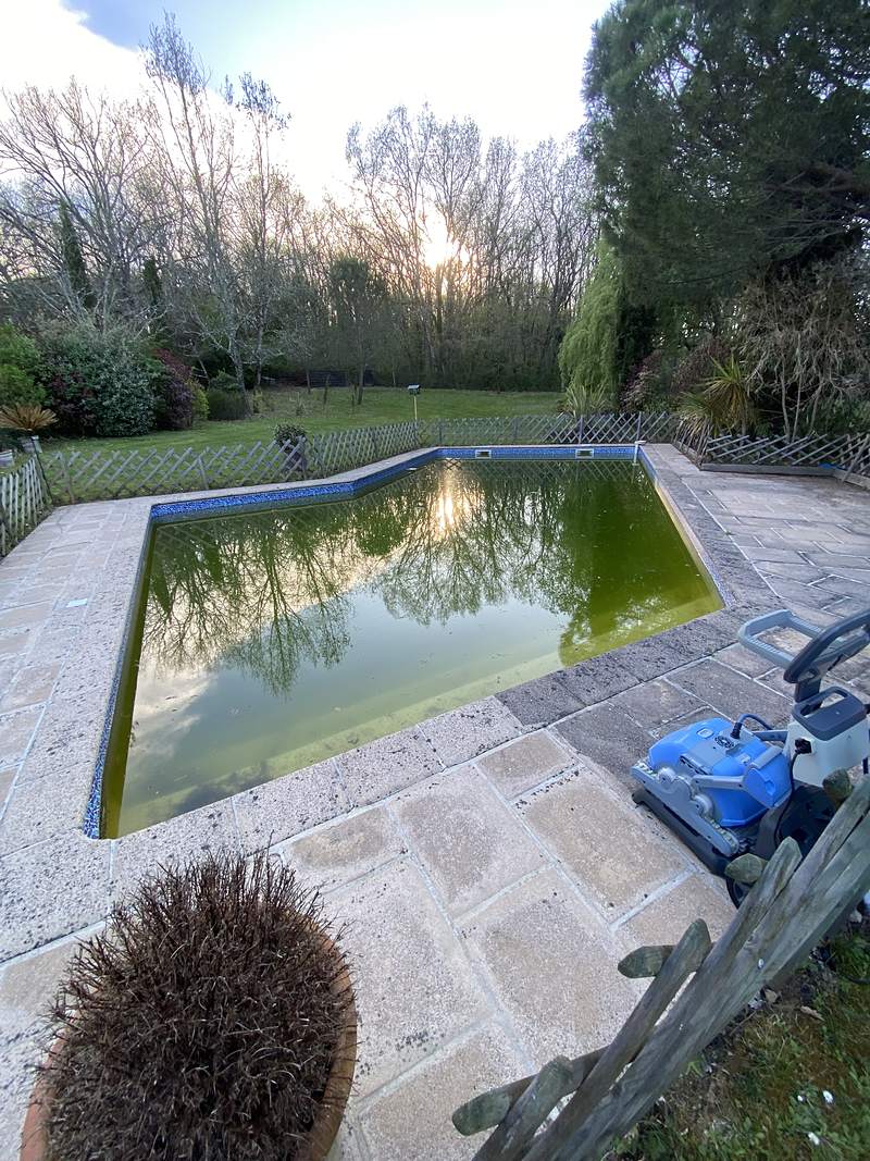Piscine à l'eau verte avant rénovation à Vacquiers, avril 2026